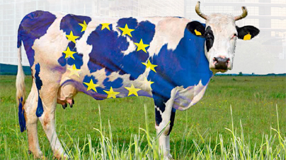 Vache-Europe
