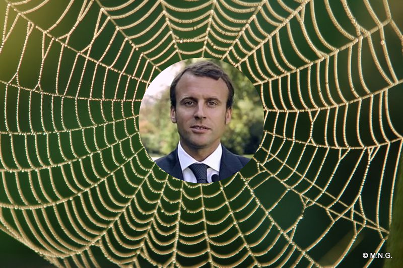 president-France-Macron-araignee