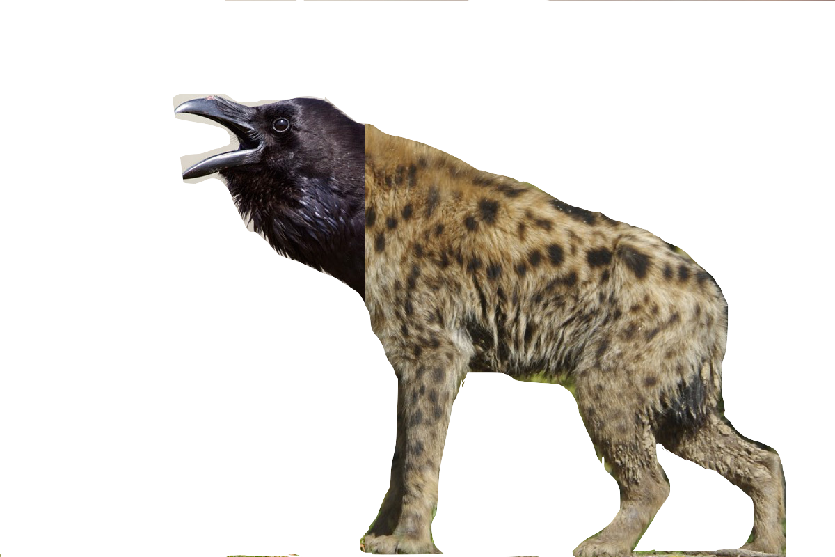 Délation-dénonciation-corbeau-hyène