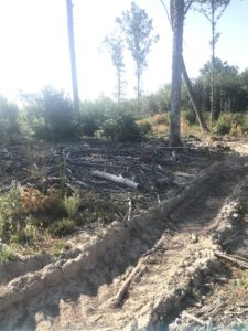 mort-quentin-deranque