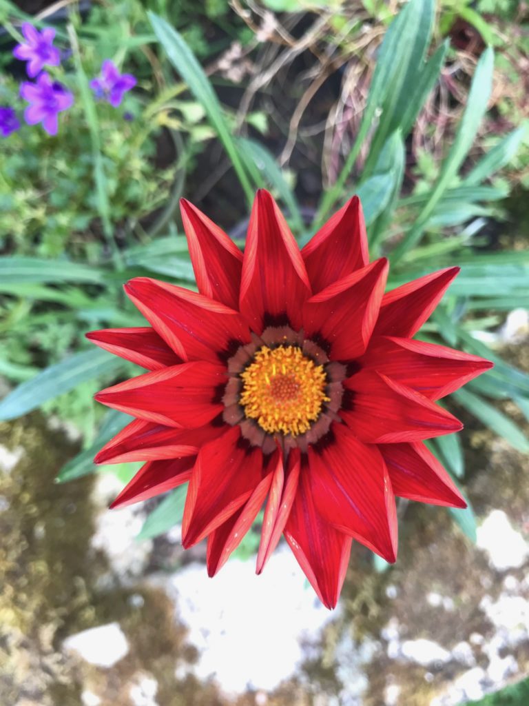 pâques-2026-vie-mort